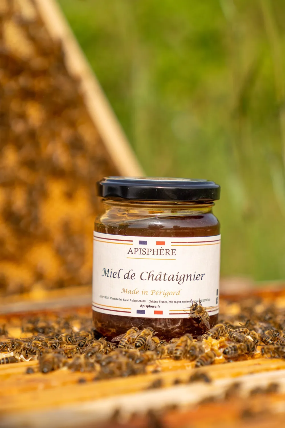 Apisphere miel châtaignier Périgord corsé boisé