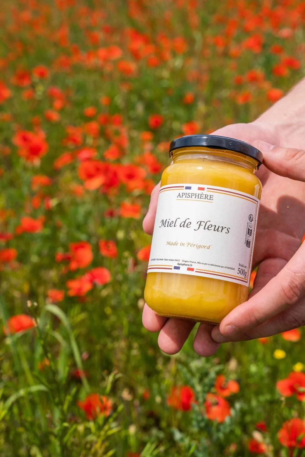 Apisphere Miel de Fleurs du Périgord crémeux 500g