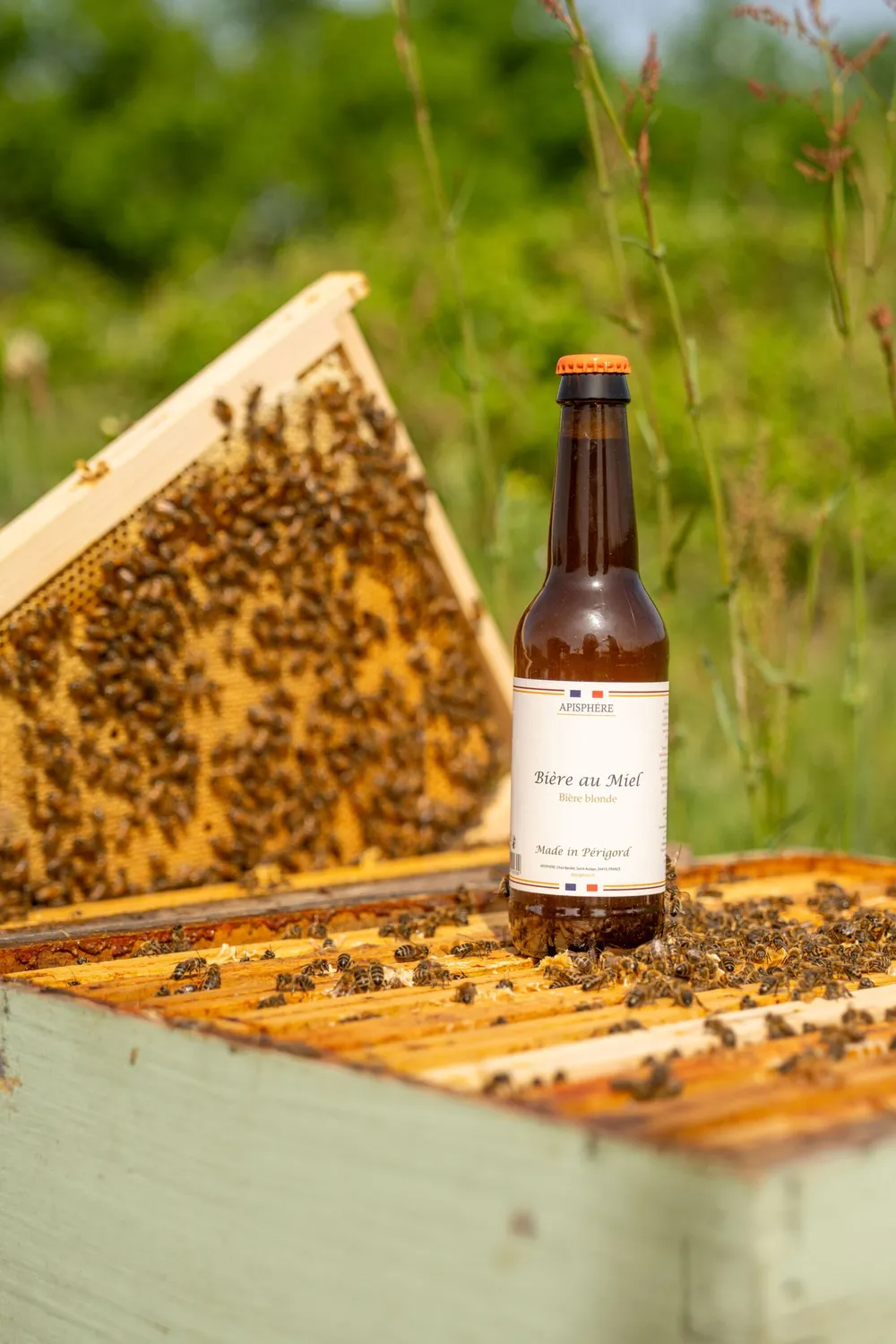 Apisphere Bière au miel blonde artisanale
