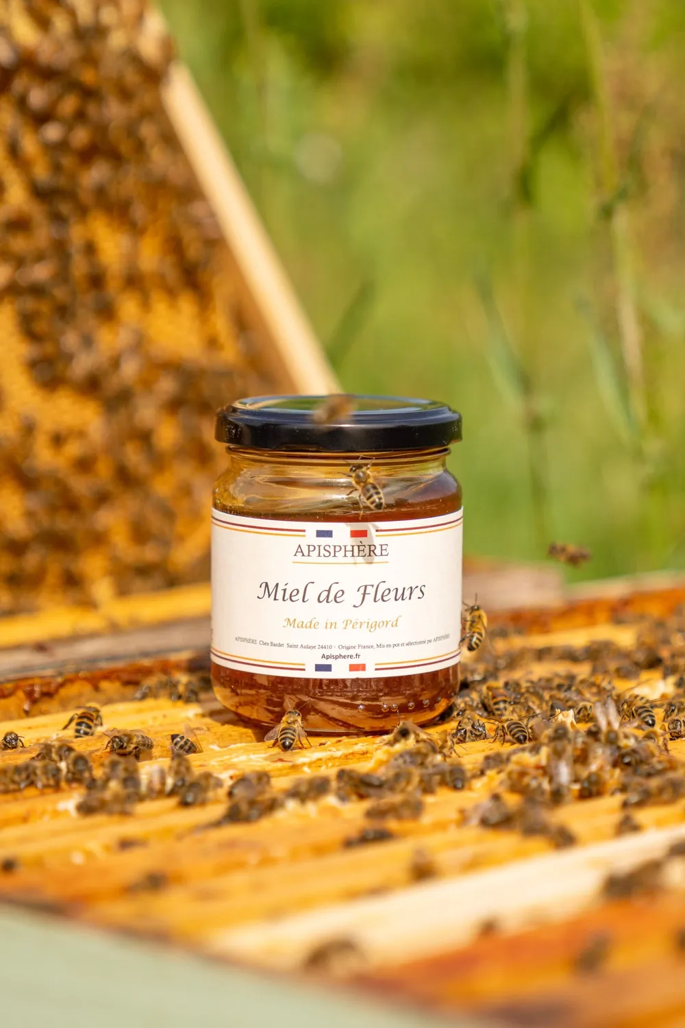 Apisphere miel de fleurs Périgord doux liquide