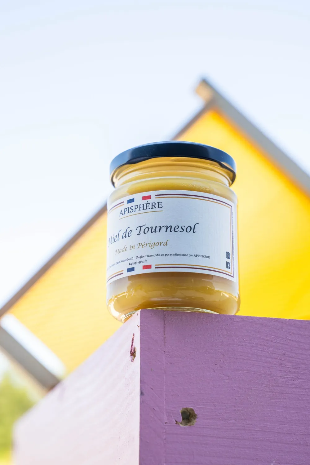 Apisphere Miel de Tournesol miel Périgord doux crémeux